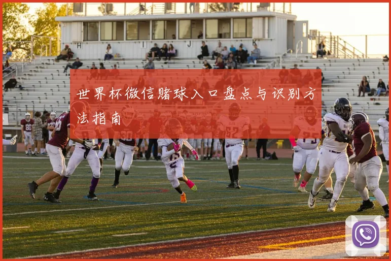 世界杯微信赌球入口盘点与识别方法指南