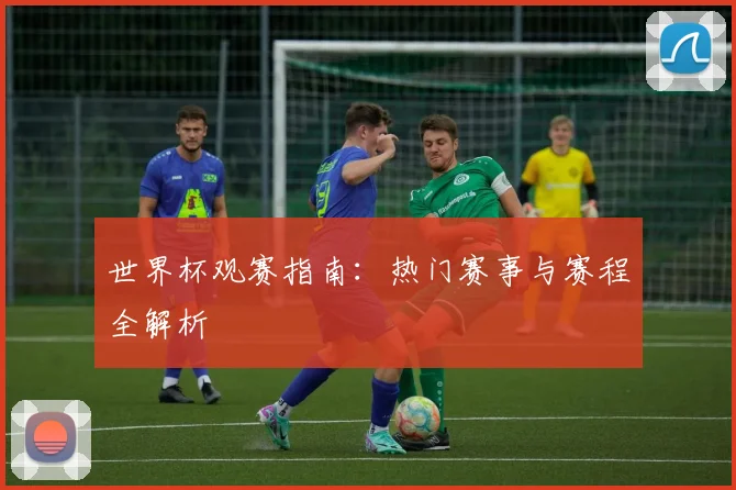 世界杯观赛指南：热门赛事与赛程全解析