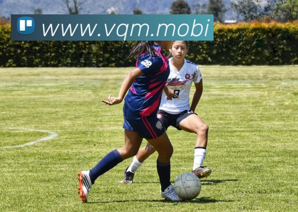 超凡国际官网 - 追求健康,你我一起成长发展历程